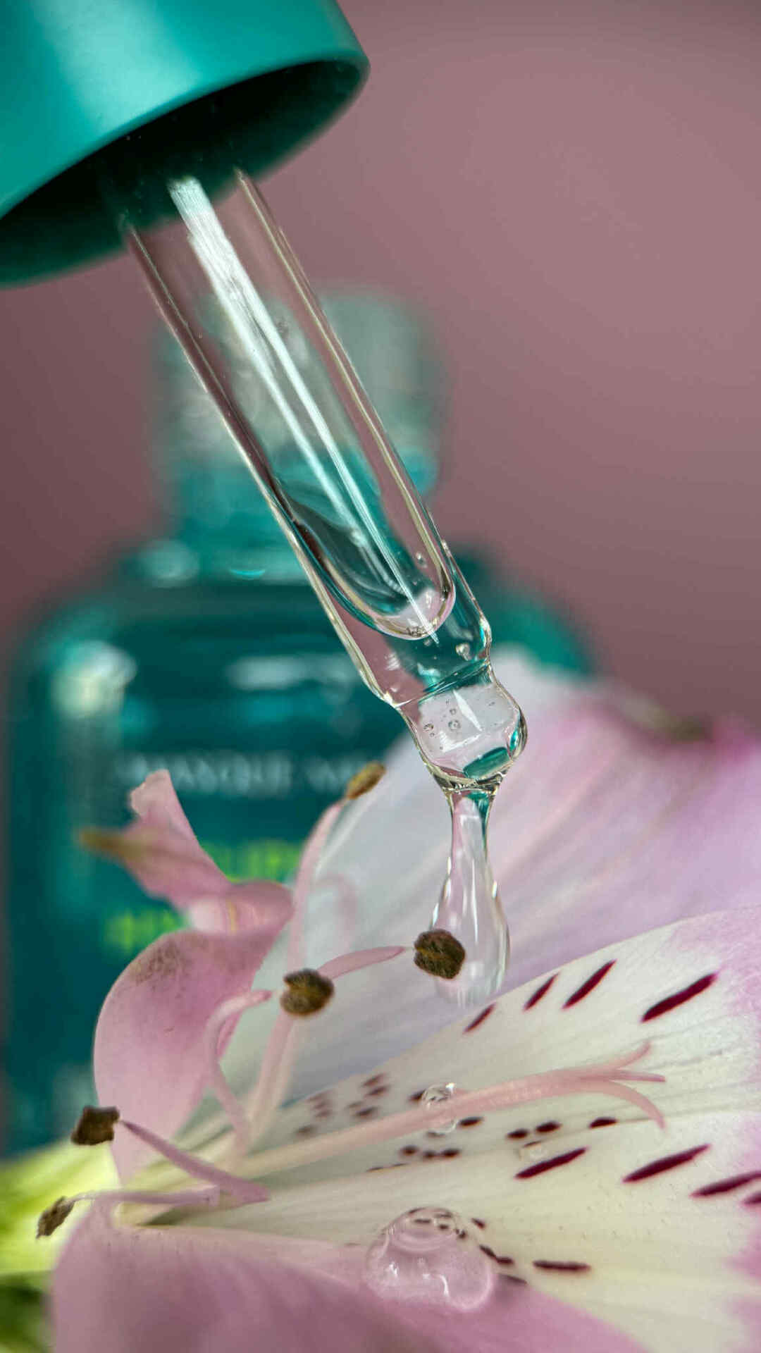 701f4cc4-01b4-4625-90ef-8ef453d2e3a7