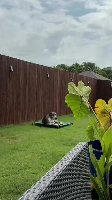 copy-e13675b9-875f-410f-81e1-04f722de35ad