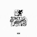 stacyadams