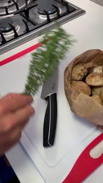 video-output-87ae8b28-145a-4f3c-b602-32519661aedc-1