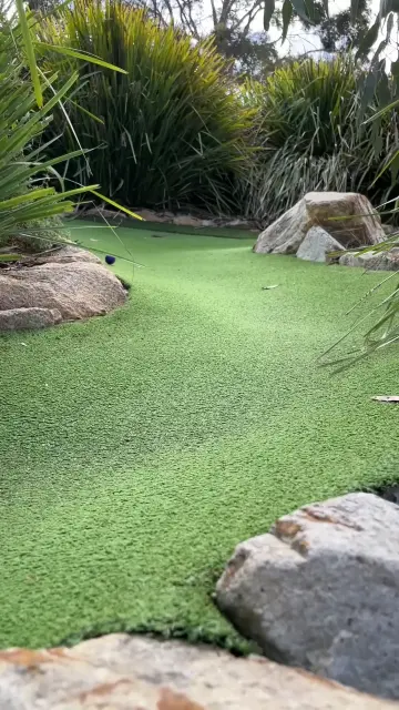 copy-a5-c83-cc-9-0848-4-a3-f-9019-4171-fe-583-b62