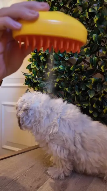 copy-ac517f79-60c3-4e03-bd30-baaa84f1d2b3