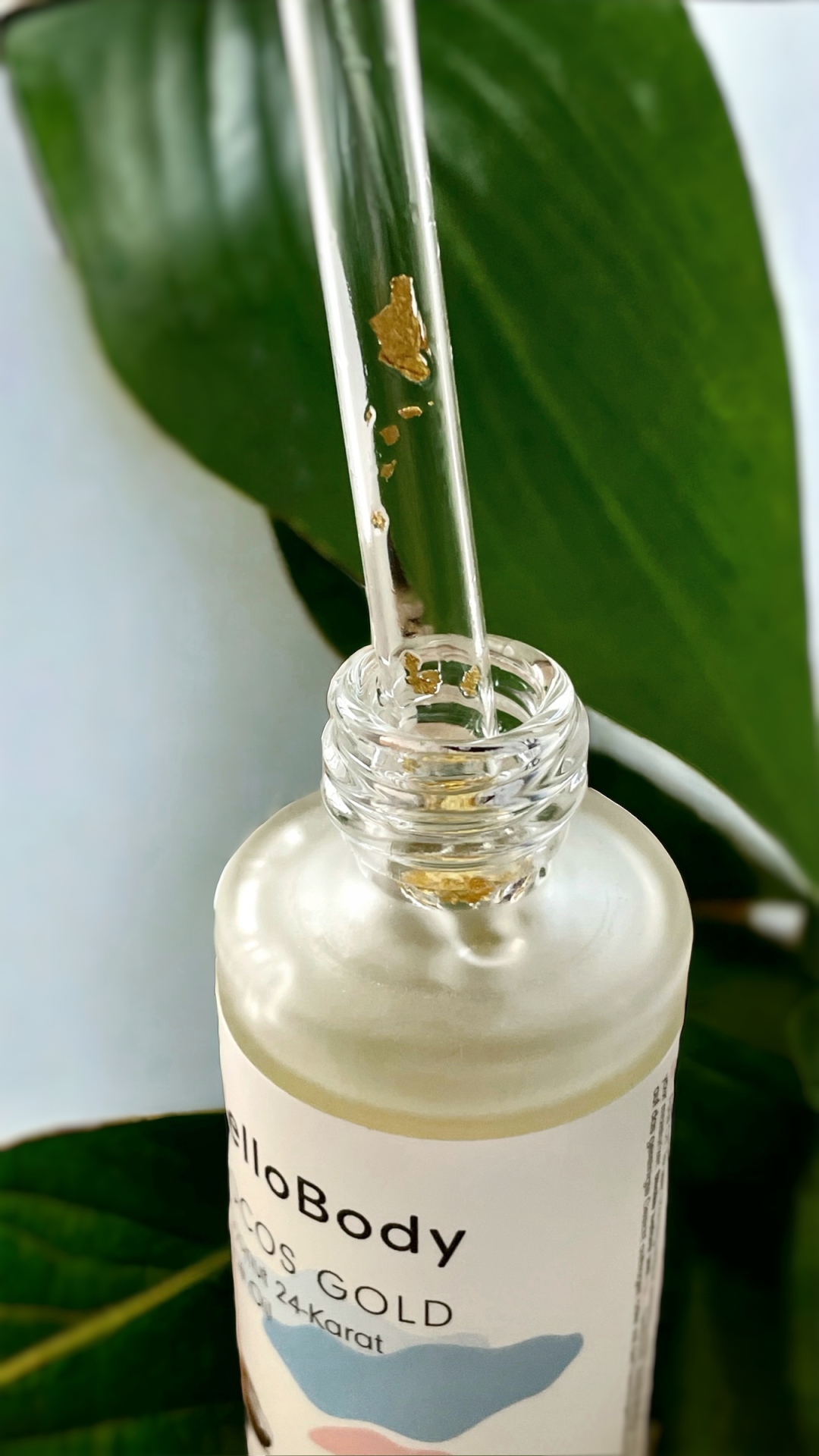 photo-room-20240404-165637