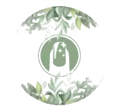 transparent