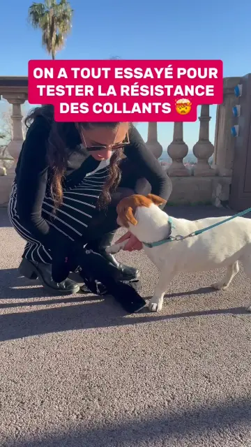 copy-02f7a90e-b452-4f7b-9f81-3108d672ca00