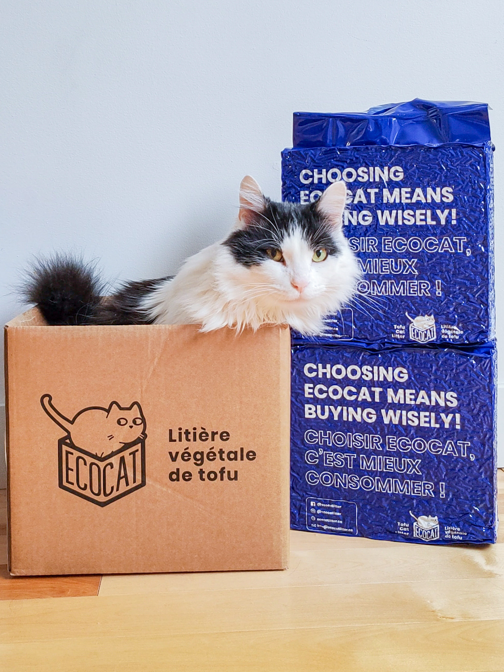 grominetxecocat