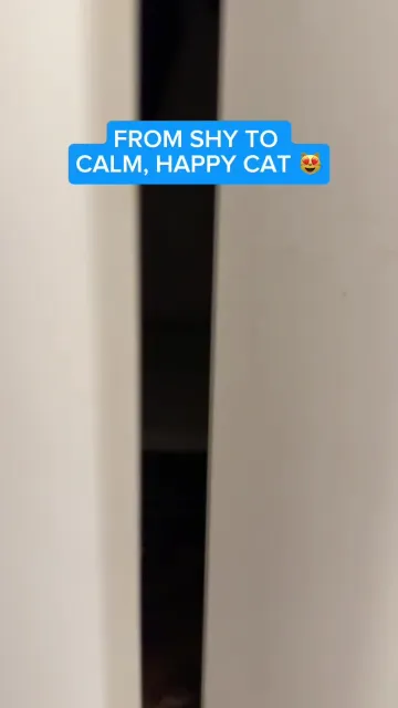 copy-54cfd0cd-e607-4f71-9abe-dee8ed649127