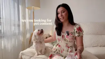 copy-80-c6-a0-b4-eae-2-4-f68-b210-e3-cea-5-ce-238-e