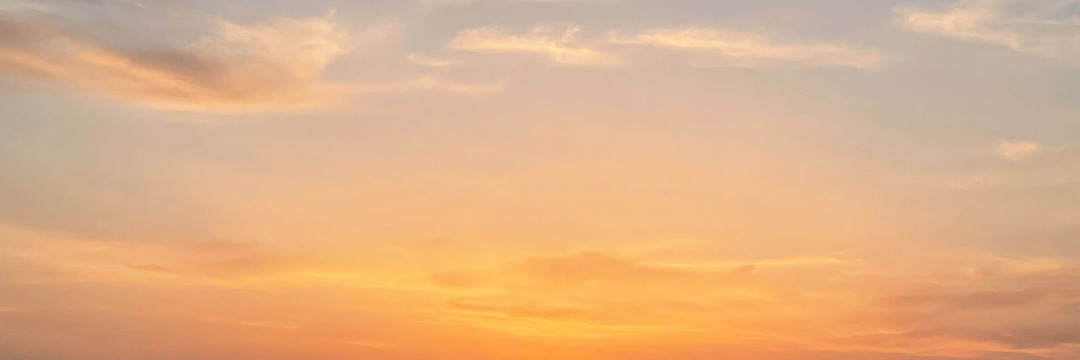 Filipe C. banner