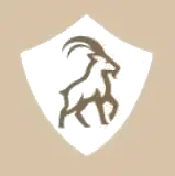 transparent