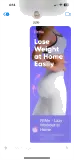 transparent