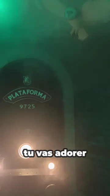 copy-694f9058-0471-46bd-92e0-cc5c141a9ee9