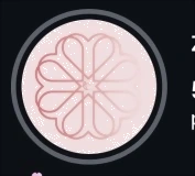transparent