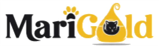 capture-decran-2024-07-16-182441