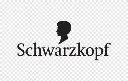 png-clipart-logo-schwarzkopf-human-behavior-font-hair-hair-text-people