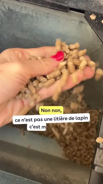 609346371821144-video-0