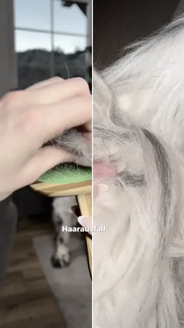 copy-7-c6-a19-de-459-f-4-d83-b122-c47-b7-d9-e0592