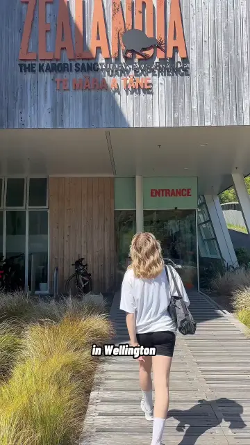 copy-21213dc7-1e0f-44ec-942a-af7ba829d499