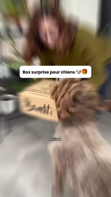 aqprwpjrrcxnv81dx0cgwk8fi5putx-ua5qtm5ki7i1towamsnjoid4zlih0cpiefrakf4pdbyq5rleyxwksxupygsy2-rvkda-7e8xzaycwba