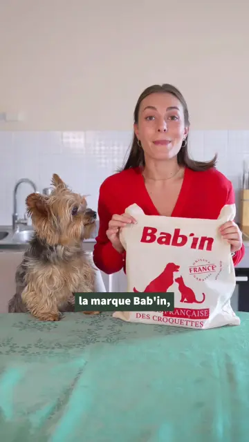 babin-x-melody-ss-v2