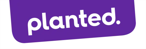 transparent