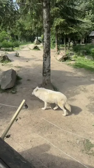 copy-982-f8-c1-a-f982-4959-8-c63-dfd-6-e23-a8247