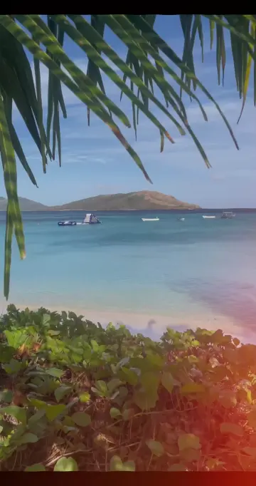 copy-fe12fd24-28df-4296-af6c-61e3e33ef333