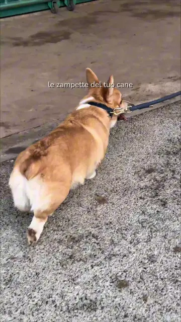 copy-ba756209-b165-4297-86b9-2b69d6776246