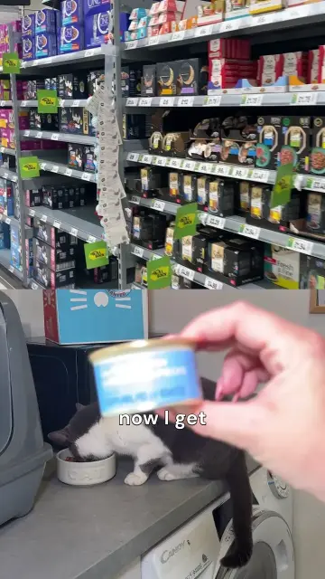 script1c-shannon-supermarket